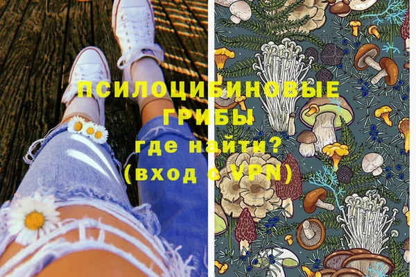 соль ск Белокуриха