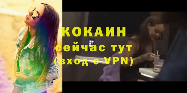 соль ск Белокуриха