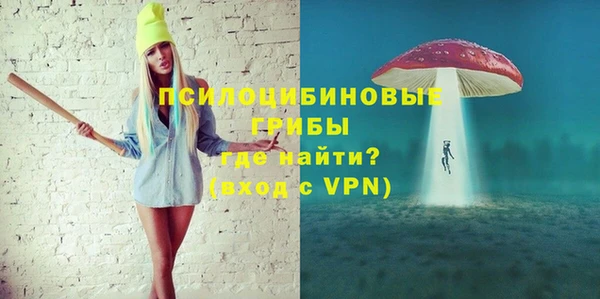 соль ск Белокуриха