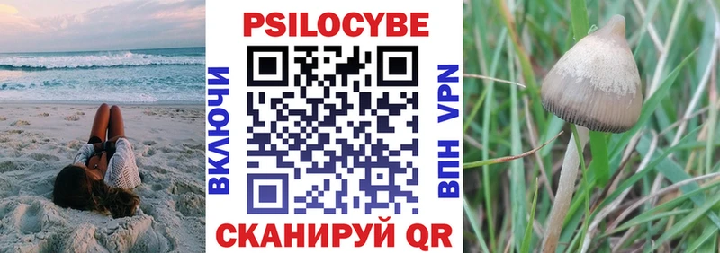 Псилоцибиновые грибы мицелий  Луховицы 